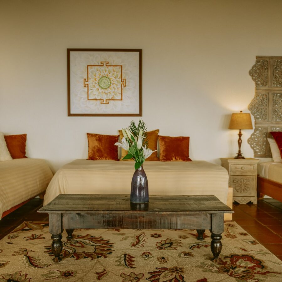 Ginger Suite #21 2026